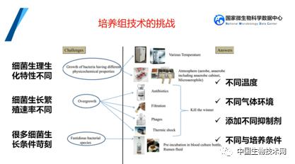 培養組通幽微世界，助力微生物資源大作為——記國家微生物科學數據中心網絡精品課網絡技術開發