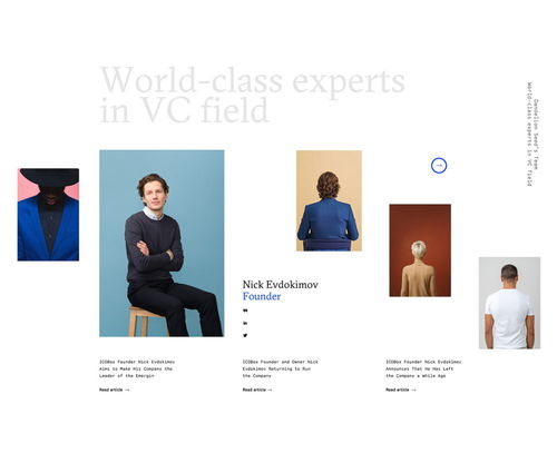 平面設計 dandelion seed 咨詢公司品牌形象設計