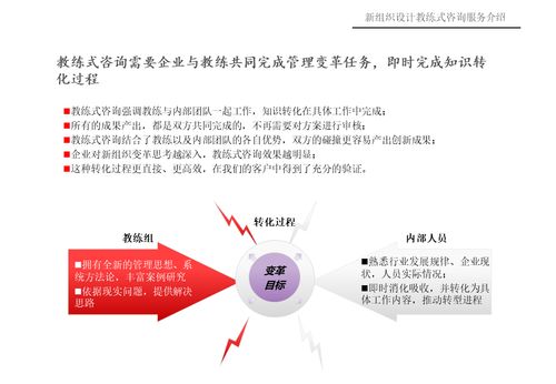 新組織設計教練式咨詢服務介紹