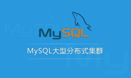 MySQL性能管理與架構(gòu)設(shè)計 從SQL優(yōu)化到分庫分表的完整策略